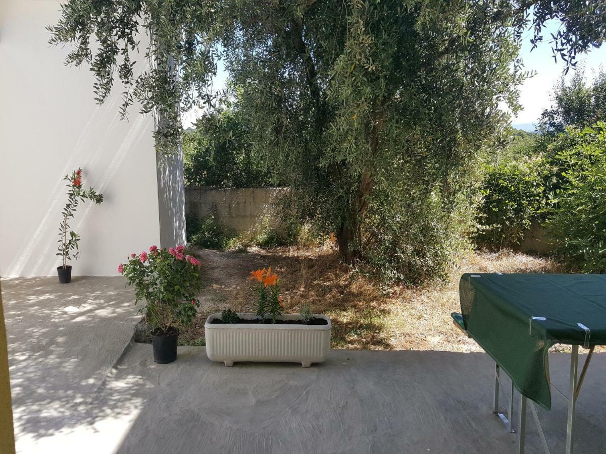 Apartment Silvija Ližnjan 외부 사진